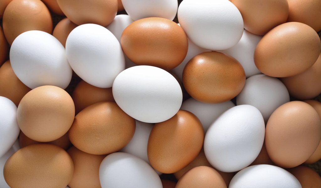conservare uova in casa sicurezza - TOMARCHIO